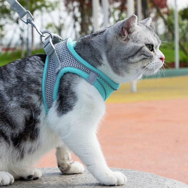 Cat Harness With Leash - Easy to Put On, Safe, and Stylish