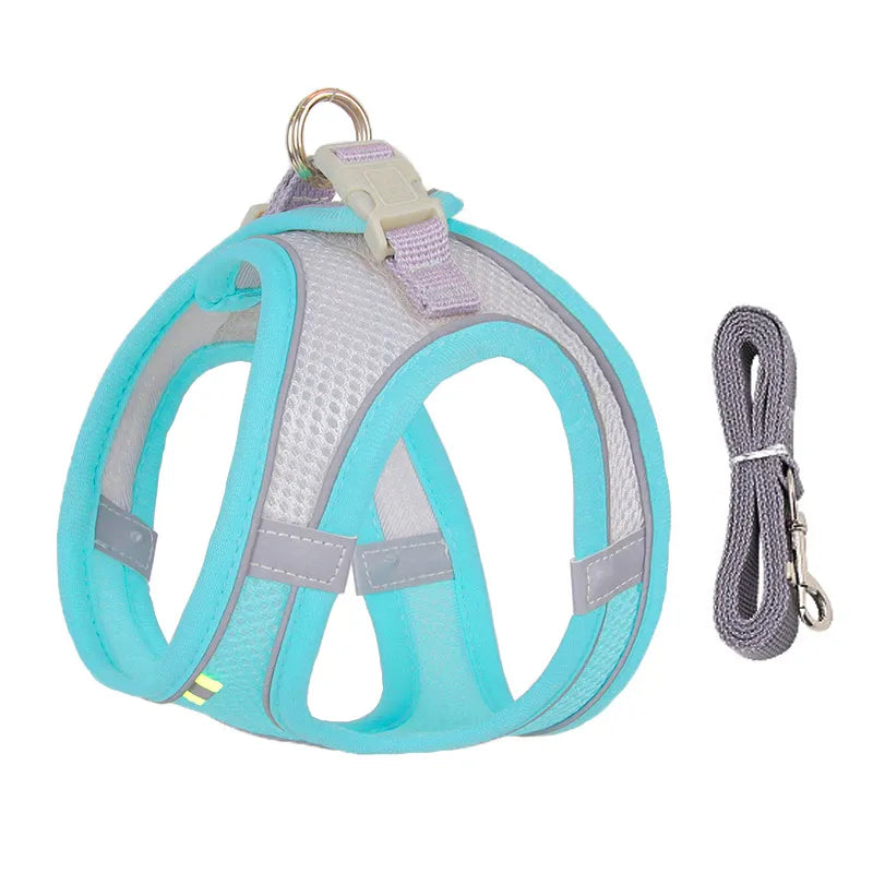 Cat Harness With Leash - Easy to Put On, Safe, and Stylish Blue